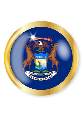 Michigan Flag Button