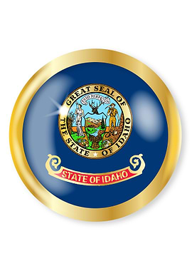 Kentucky Flag Button