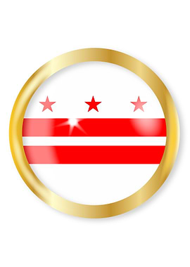 Washington DC Flag Button