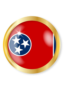 New York Flag Button