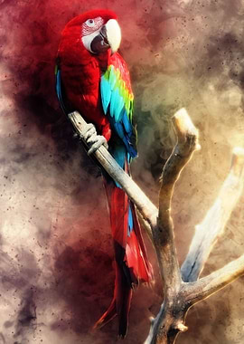 Parrot