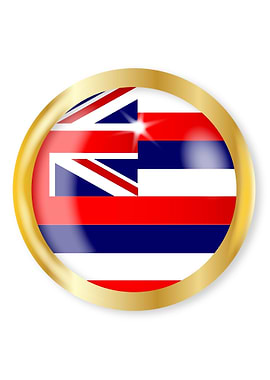 Hawaii Flag Button