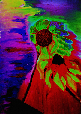 Abstract colorful flower