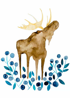 Moose and blueberries