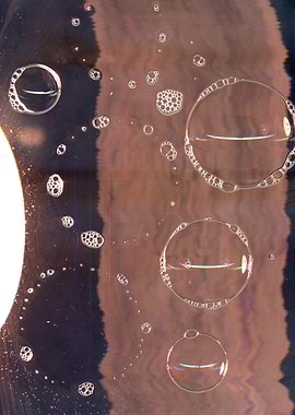 Bubbles
