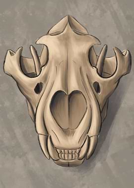 Lion skull front vieuw