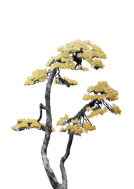 Minimal Bonsai 06