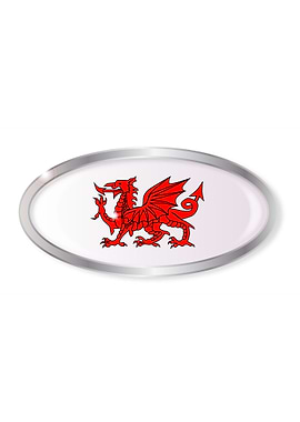 Welsh Dragon Oval Button
