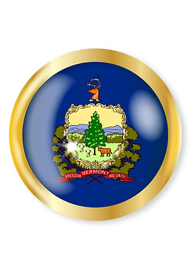 Vermont Flag Button