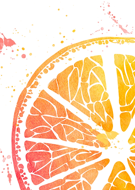 watercolour orange fruit
