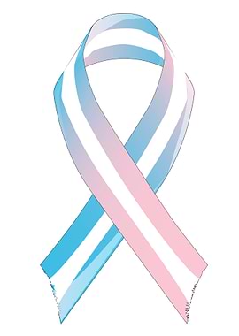 Transgender Awareness