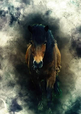 Horse
