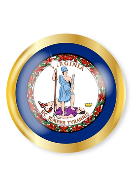 Virginia Flag Button
