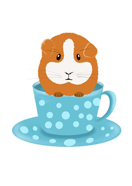 Cute Guinea pig in a Cup