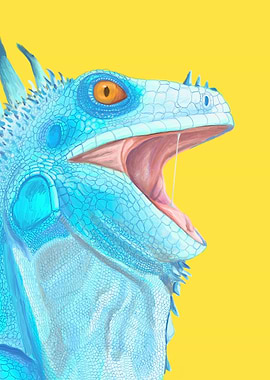 Iguana