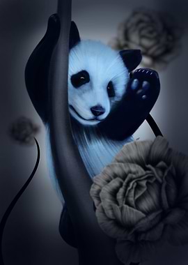 Baby panda