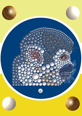 singe ecureuil collection