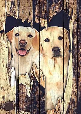 Labrador Art