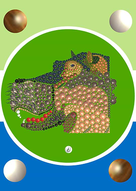 hippopotame collection