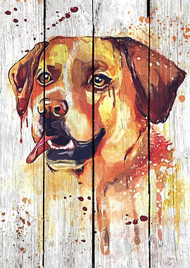 Labrador Art