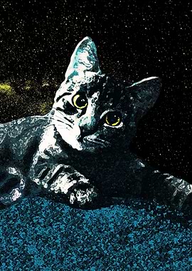 UNIVERSE CAT