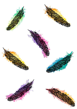 colourful feather pattern