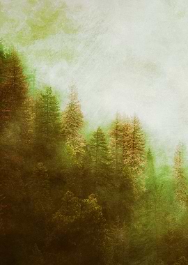 Dreamy Summer Forest