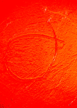 Retro vintage wall macro