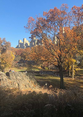 CENTRAL PARK AFTERNOON