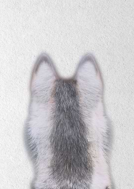 fox wolf back view