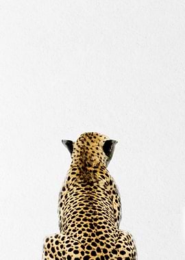 leopard back view
