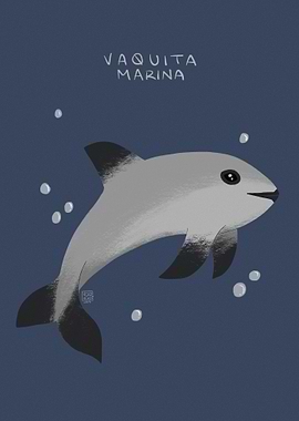 Vaquita Marina