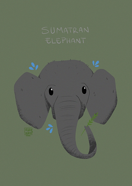 Sumatran Elephant