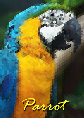 Isometric Parrot