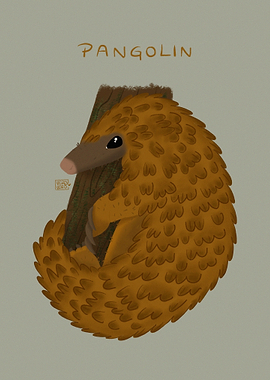 Pangolin