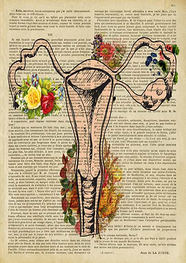 Uterus anatomical