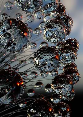 Reflection and refraction