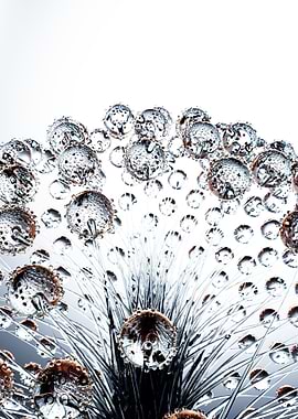 Reflection and refraction