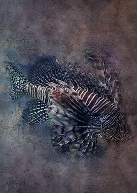 Lion fish