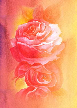 Roses. The song of roses