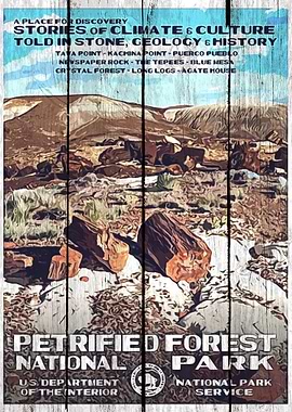 PETRIFIED FOREST