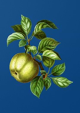 Vintage Apple on Blue
