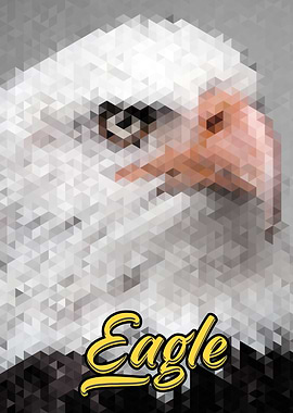 Polypictor Art Style Eagle