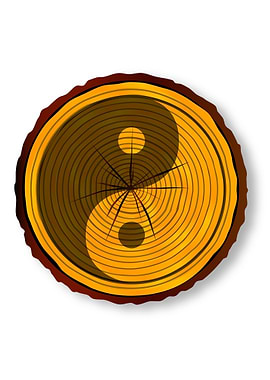 Yin Yang On Timber Section