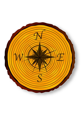 Compass Face On Timber