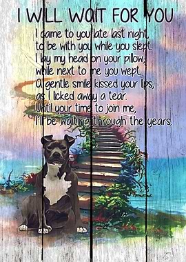 Staffordshire Bull Terrier