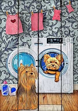 Yorkshire Terrier