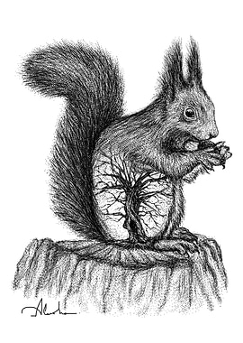 SQUIRREL