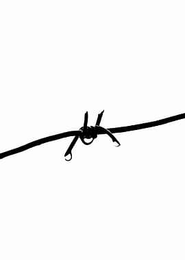 Wet Barbed Wire Vertical