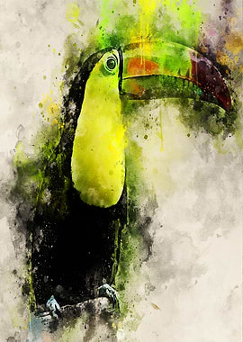 toco toucan yellow